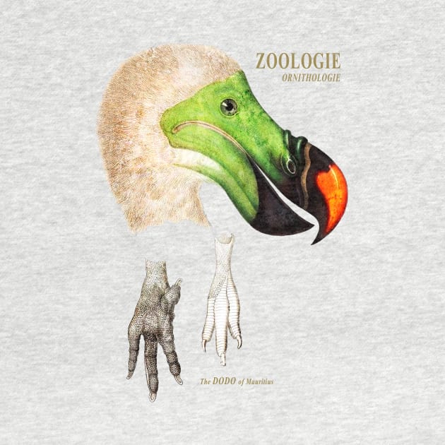 The Dodo of Mauritius - Zoological Drawing by The Blue Box